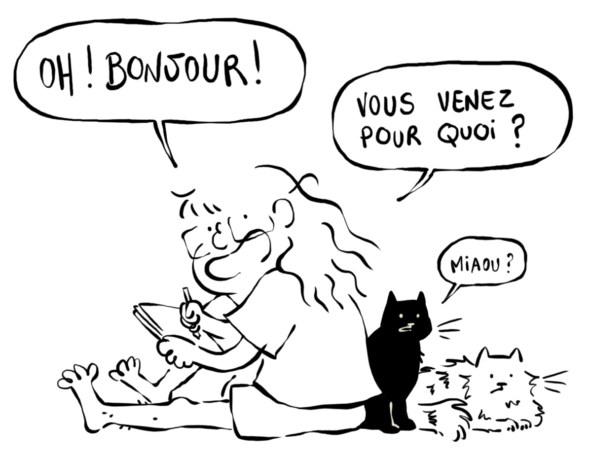 Oh bonjour ! Vous venez pour quoi ?